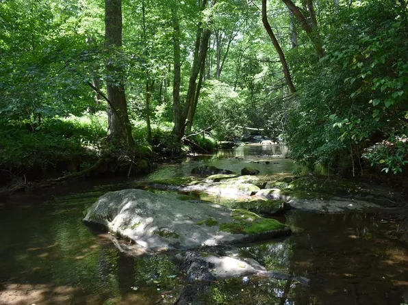 2632 Big Creek Rd, Cherry Log, GA 30522
