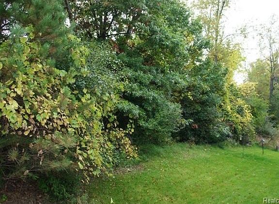 2nd image of 6126 Cheshire Park Dr #1