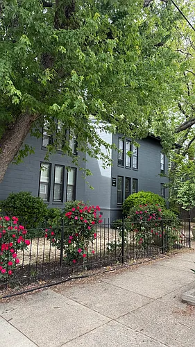 412 N Alfred St #2 Photo 1