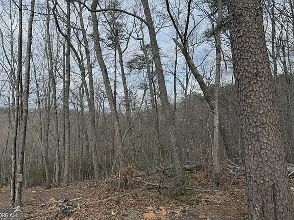 3rd image of TRACT B2 Mountain St #2