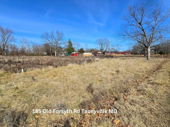 185 Old Forsyth Road, Taneyville, MO 65759