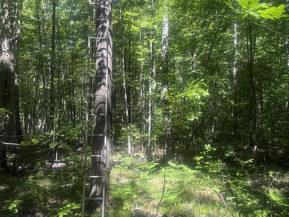 3rd image of Chambers Rd