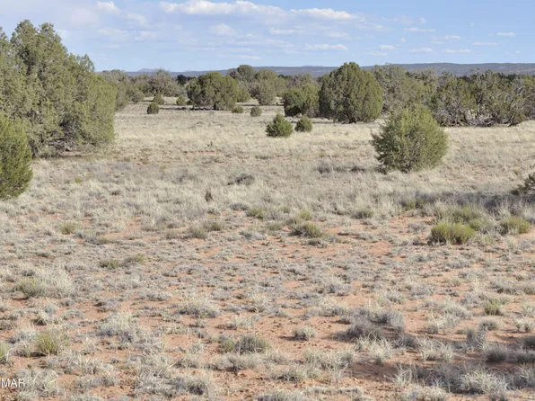 176 County Road 5549 N, Concho, AZ 85924