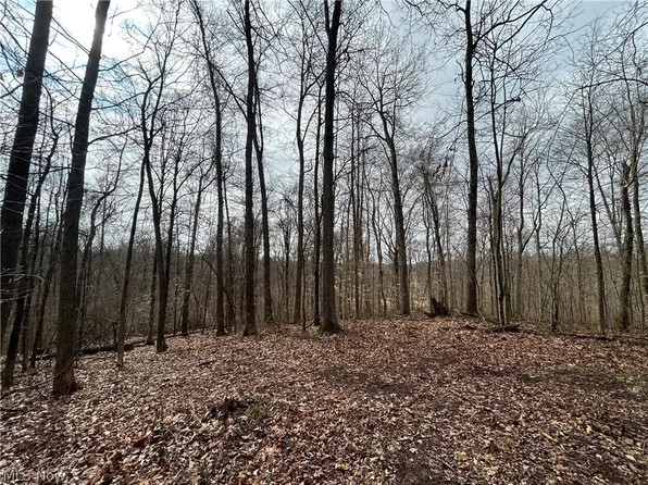 Wilbur Bush Rd NW, Crooksville, OH 43731