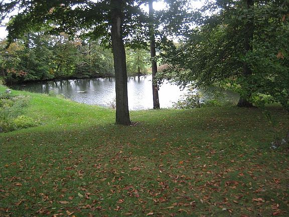 Side yard looking down to the pond