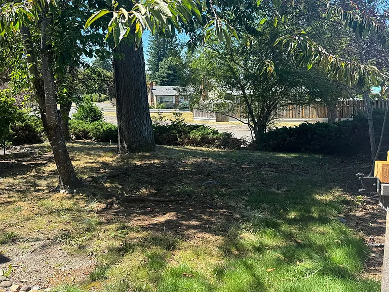 OR395 — Photo 17
