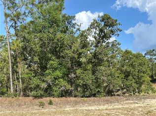 9857 N Lathyrus Ter, Citrus Springs, FL 34433