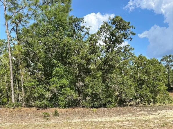 9857 N Lathyrus Ter, Citrus Springs, FL 34433