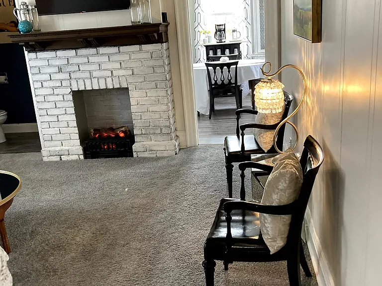 Electric Fireplace - Living Room