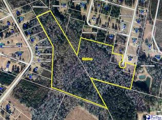 Ridgeview Rd, Marion, SC 29571