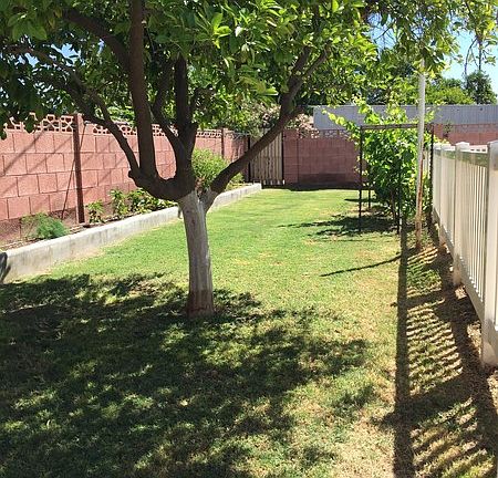 side yard and garden