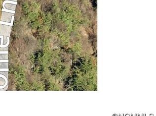 325 Bearwallow Rd, Leicester, NC 28748