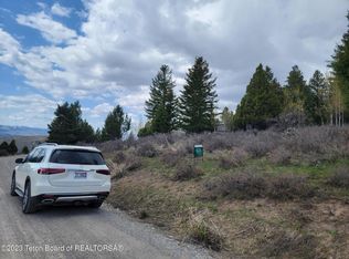 L28b3 Cutthroat Run Rd, Irwin, ID 83428
