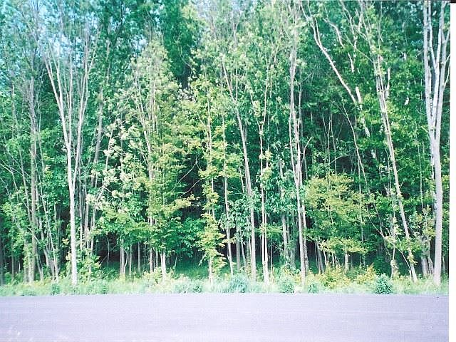 1st image of Woodridge Dr Lot 19