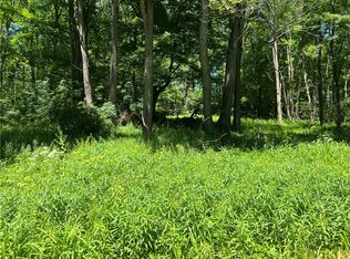 0 Wileytown Rd, Fly Creek, NY 13337