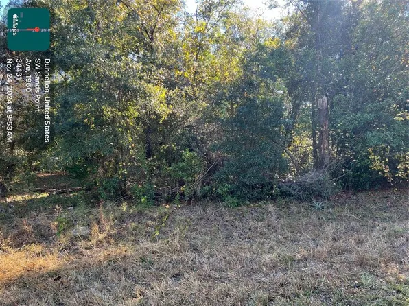 SW Sands Point Ave Lot 36, Dunnellon, FL 34431