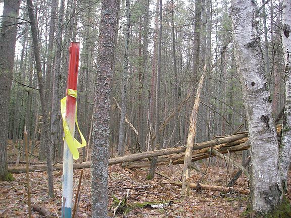 4th image of Nor Sable Pines Trail Lovells