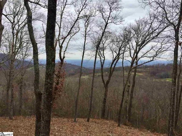 215 Yellowroot Ln, Landrum, SC 29356