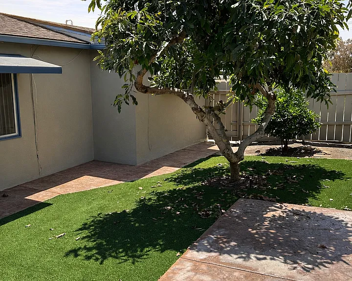 3085 Palm St — Photo 2