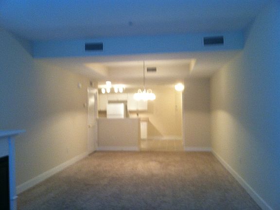 4th image of 3218 William Styron Sq N