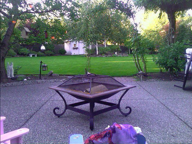 Great Backyard