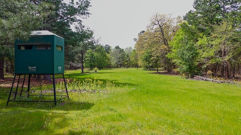 1st image of Fm 315