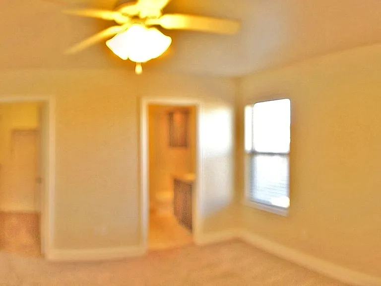 1109 Lizzard Ct — Photo 4