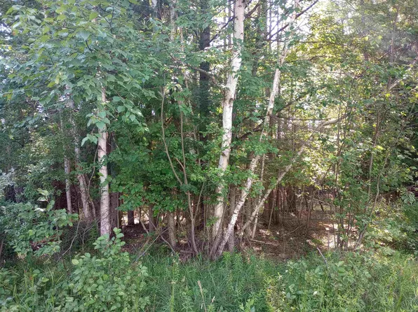 LOT 41 Sandbridge Ct, Gladwin, MI 48624