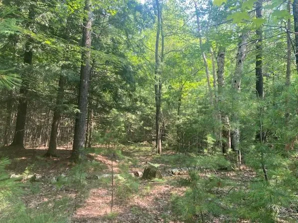 Near6785 Drury Lane Loop Lot 1, Three Lakes, WI 54562