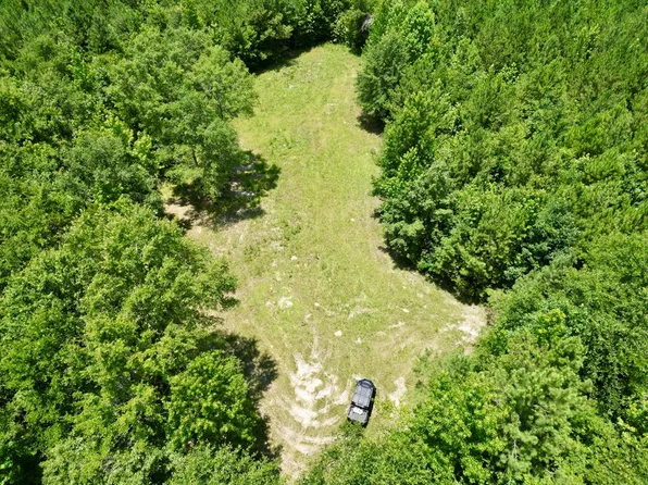 0 Nixon Rd, Georgiana, AL 36033