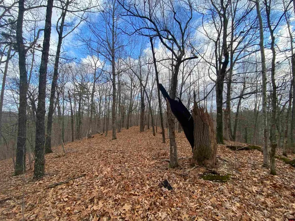 204 Onwata Ln, Yellville, AR 72687