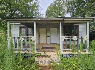 607 Rainey St, Palestine, TX 75801