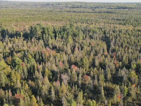 Vl River Lake Rd, Roscommon, MI 48653
