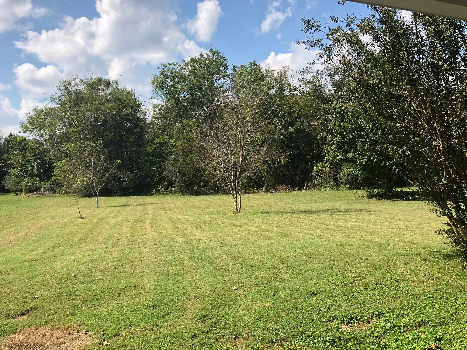 4081 Prospect Church Rd — Photo 2