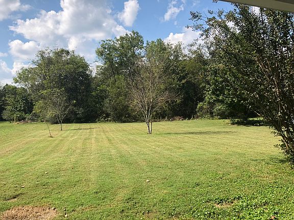 Lovely back yard. Great place for kids to play or to have fa