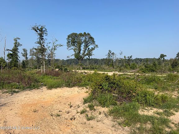 4th image of 80 Acres