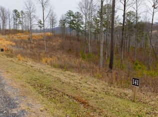 LOT 141 Twisted Oak Rd, Talking Rock, GA 30175