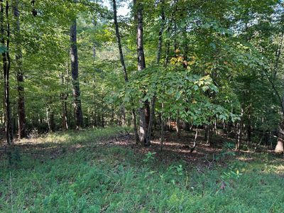 2 Cedar Bluff Ln, Hardy, VA, 24101