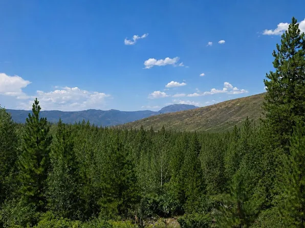 1333 COUNTY RD 881/GRENOBLE ST Street, Granby, CO 80446
