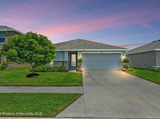 13225 Golden Lime Ave, Spring Hill, FL 34609