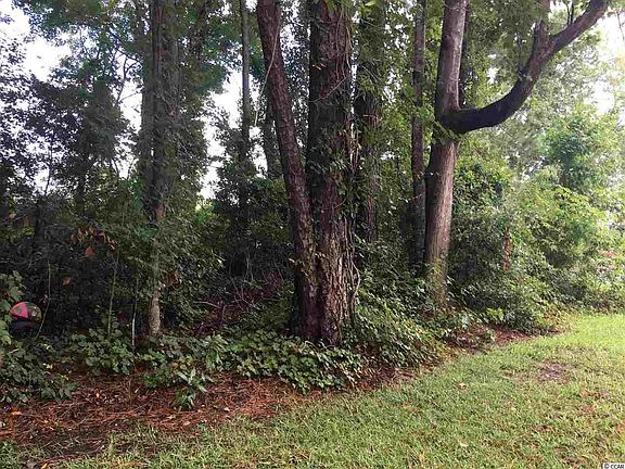 4th image of 1024 Plantation Dr. Lot 540