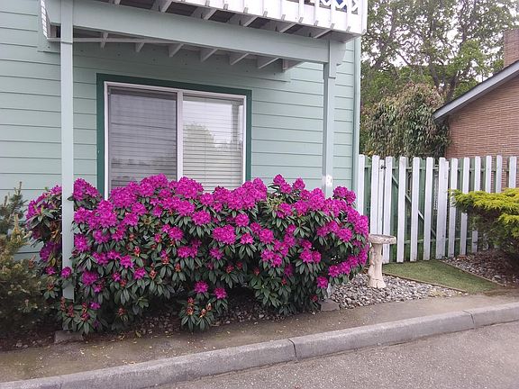 2nd image of 1113 SE 6th Ave #101