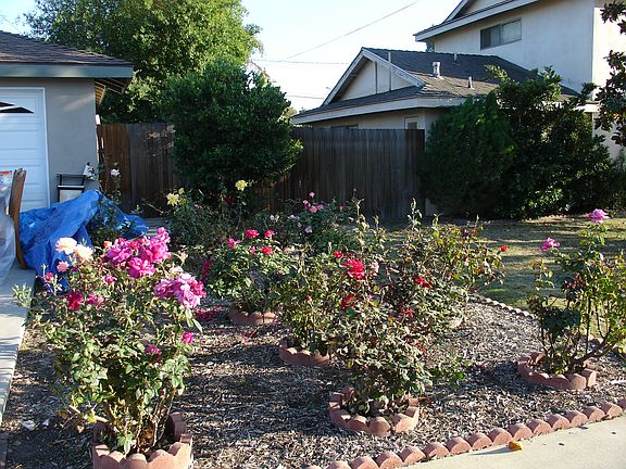 4th image of 11862 Gladstone Dr