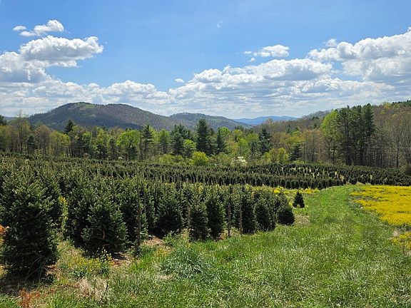 3rd image of Rabbit Fork Rd