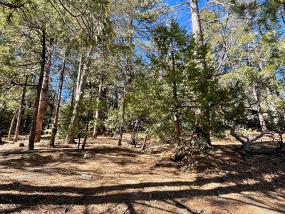 0 Cedar Glen Dr, Idyllwild, CA, 92549