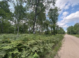 10382 Cinder Hill Rd, Mancelona, MI 49659