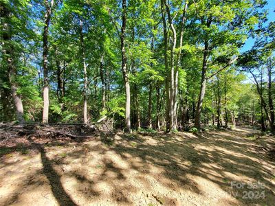 0 Highway 226a, Little Switzerland, NC, 28749