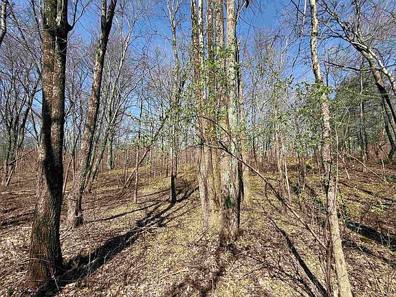 5th image of TRACT 1 S State Road 257 Rd