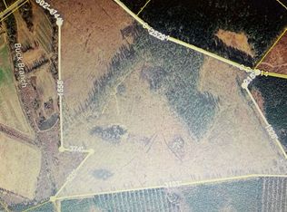 1725 Bethel Forest Rd, Rowesville, SC 29133
