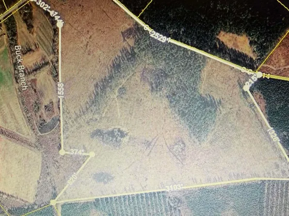 1725 Bethel Forest Rd, Rowesville, SC 29133